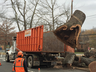 4 Little-Known Benefits Of Dumpster Rental Services