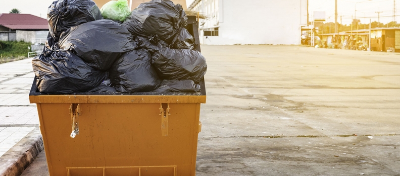Tips And Tricks To Choose The Right Dumpster Rental Company